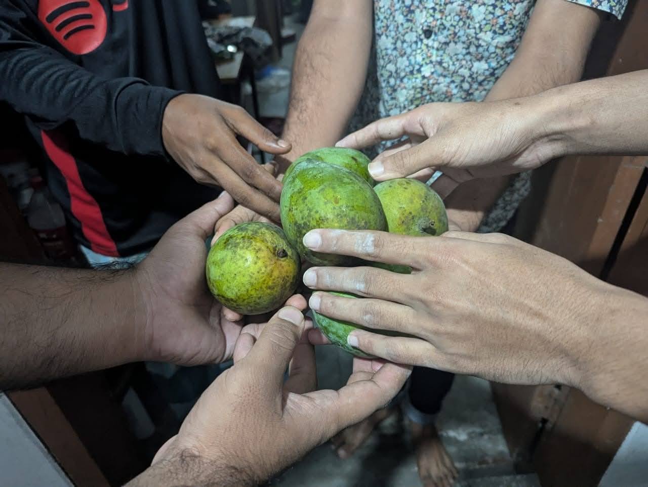 নোবিপ্রবিতে ছাত্রশিবিরের আম উপহার 
